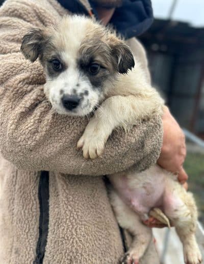 Pünktchen – reserviert