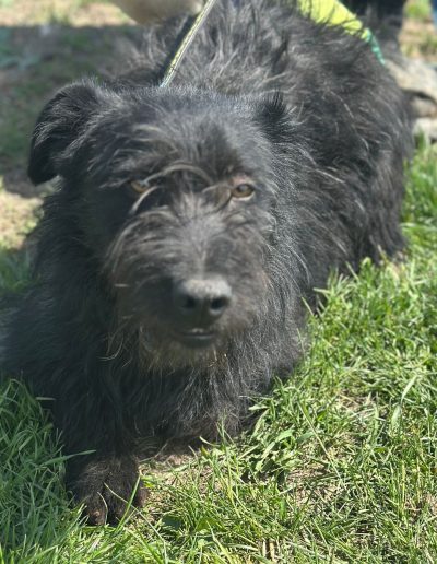 BOBBY