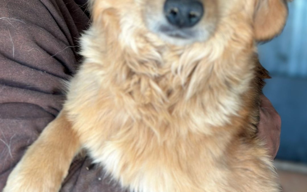 Milly