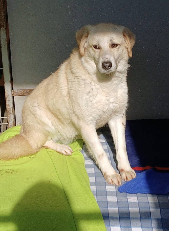 Kaspar
