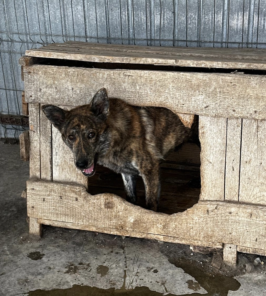 product6a4d660e52a567.07817482.png