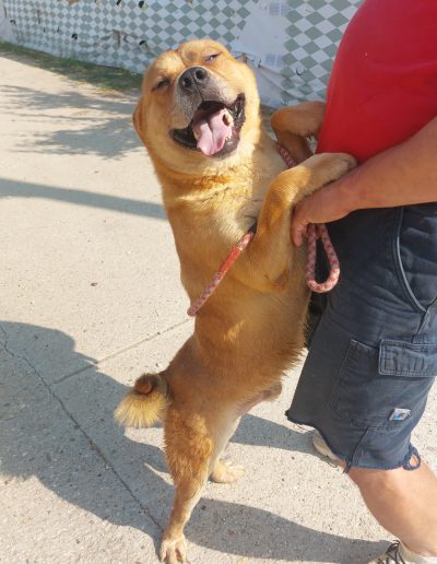 Zeus